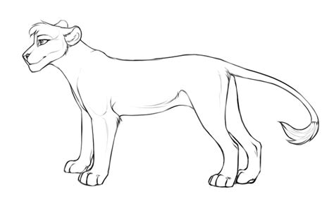 Free Lionlioness Lineart By Danni Minoptra On Deviantart