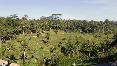 Ubud And Candidasa Multi Centre Holiday Hayes And Jarvis