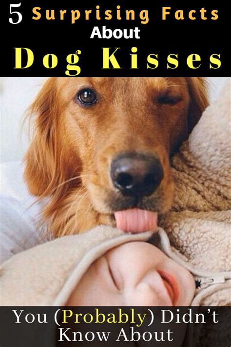 Here Are 5 Of The Most Surprising Facts About Dog Kisses As Well As A