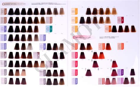 Matrix Colorinsider Color Chart Matrix Shade Card Hair Color Chart