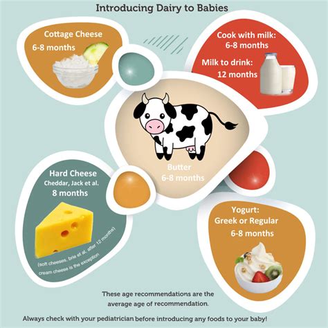 Dairy Infographic When To Introduce Milk And Dairy Products