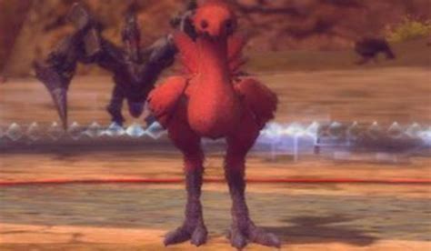 A Murderous Red Chocobo Is Wrecking Final Fantasy 14 Players Pc Gamer