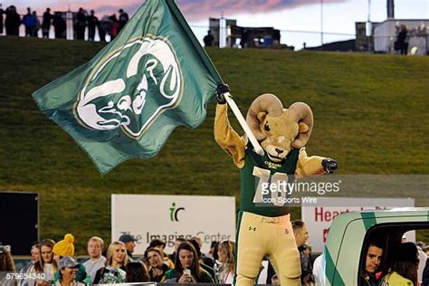 Football Mascot Costume Photos And Premium High Res Pictures Getty Images