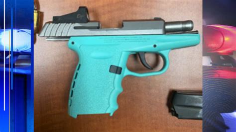 Leesburg High School Student Arrested After Gun Found In Backpack