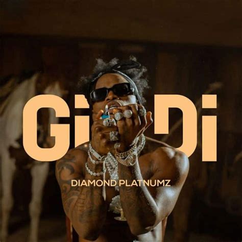 Audio Diamond Platnumz Gidi Download Dj Mwanga