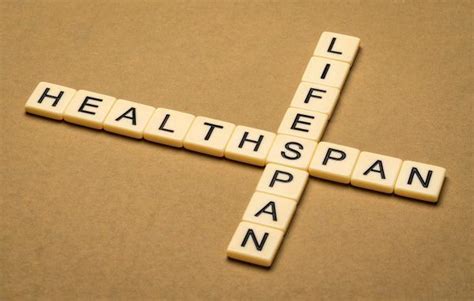 Healthspan Vs Lifespan The 100 Year Lifestyle