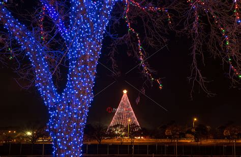 Zilker Holiday Tree As Seen Through The Zilker Park Trail Of Lights