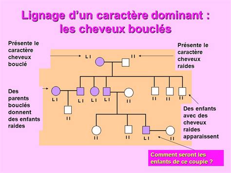 Cheveux Bouclés Génétique | macyjeniferstacy blog