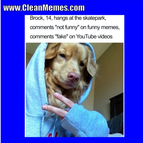 Clean Memes: Clean Memes 01-25-2018 The internet is literally choking itself to death with cute dog and cat memes—but what about other, less photogenic animals like sharks, shrimps and spiders?