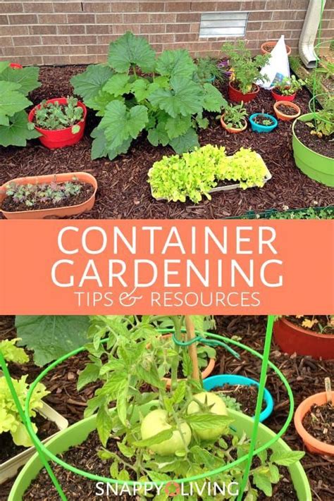 Visit garden supply company in cary, nc for all of your plant, flower, tree, landscape, garden and home decor needs! Organic Gardening Supplies Near Me #OrganicGardeningSydney ...