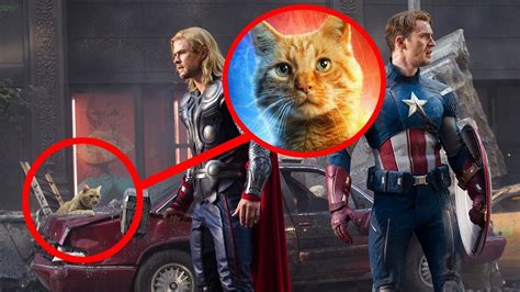 2018 was a great year in film not only for humans, but also for dogs and horses. Why The Cat In Captain Marvel Has More Meaning Than You ...