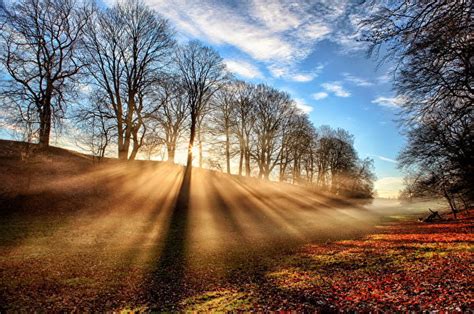 Pictures Rays Of Light Autumn Nature Trees Seasons 600x398