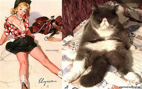 Коты в позах пин ап девушек с ретро плакатов