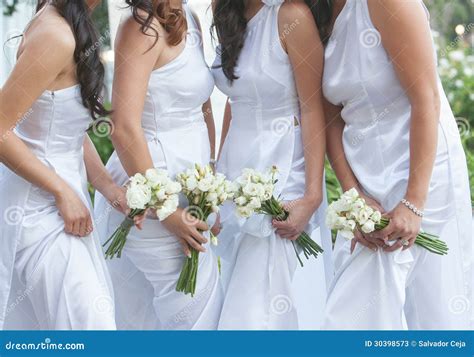 Bride And Bridesmaids Stock Image Image Of Flowers Bouquet 30398573