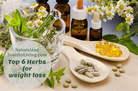 Top 6 Herbs For Weight Loss Natural And Healthy Living