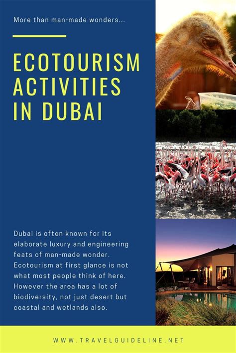 Ecotourism Activities In Dubai Dubai Activities Travel Inspiration