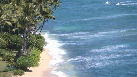 Hawaii Beach Zoom Background Download Free Virtual Backgrounds