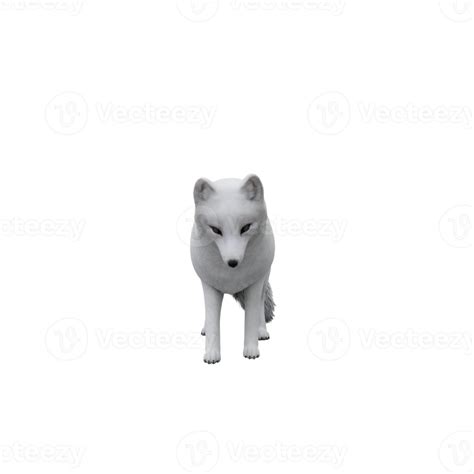 Free 3d White Arctic Fox 18813968 Png With Transparent Background