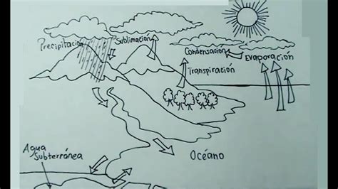 Ciencias Naturales 15 Cómo Dibujar El Ciclo Del Agua Paso A Paso