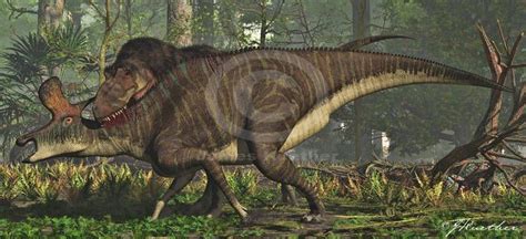 Tyrannosaurus Vs Dakotaraptor By Herschel Hoffmeyer On Deviantart