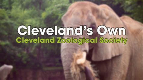 Clevelands Own Cleveland Zoological Society Youtube