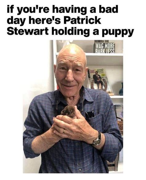 Memes that made patrick hörny. Pin by Cyn Beehler on Patrick Stewart | Actors funny ...