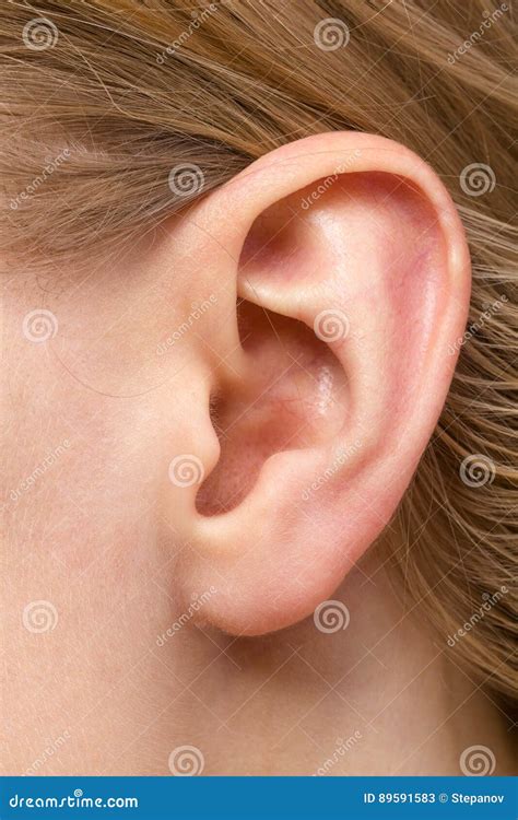 Detail Of The Head With Female Human Ear Close Up Stock Image Image