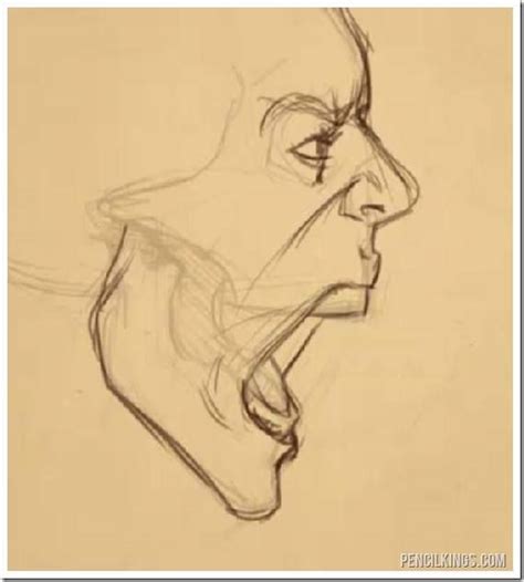 Side View Of Face Drawing Open Mouth Google Search Anatomy Art Face Drawing Art Reference
