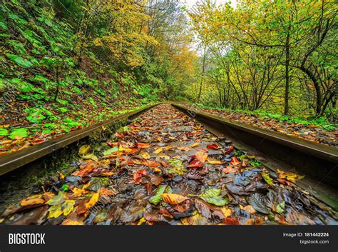 Railroad Tracks Go Image And Photo Free Trial Bigstock
