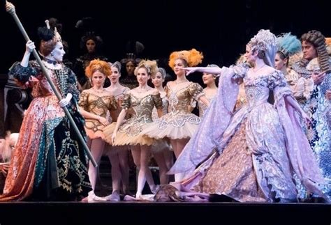 Peter Tchaikovsky Sleeping Beauty Sleeping Beauty Ballet