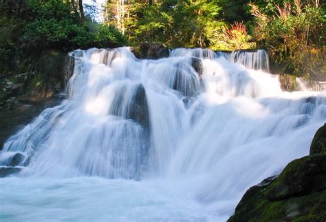Beaver Creek Falls Oregon Waterfalls Waterfall Beaver Creek
