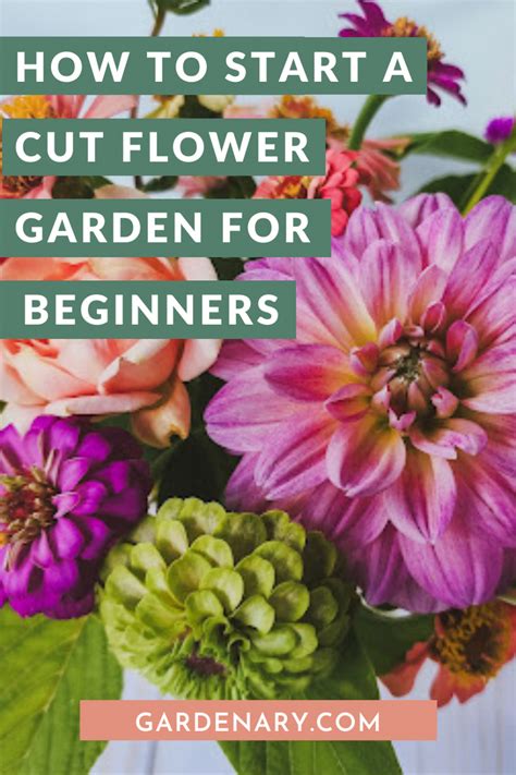 How To Start A Cut Flower Garden For Beginners Gardenary