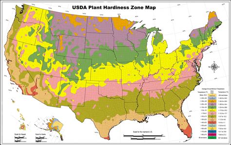 Usda Zone Map For Los Angeles Gardeners Lawnstarter