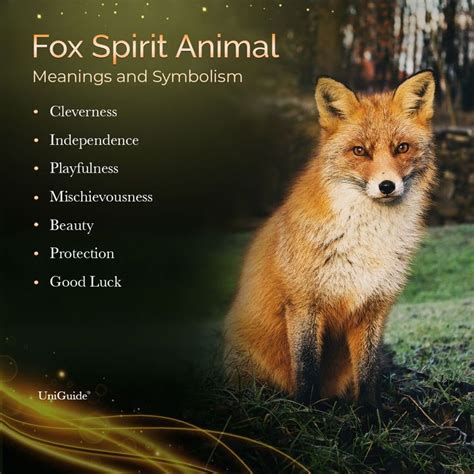 Fox Symbolism And Meaning And The Fox Spirit Animal Fox Spirit Fox