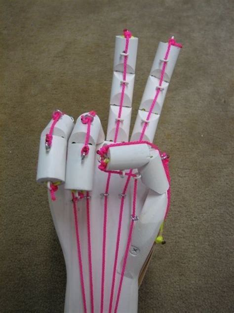 Science Fair Articulated Hand