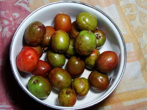Nicaragua S Exotic Fruits And Where To Find Them
