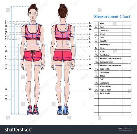 Woman Body Measurement Chart Scheme For Royalty Free Stock Vector