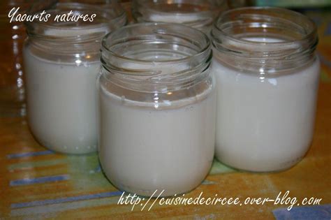 Yaourts natures au lait demi - écrémé