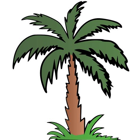 Palm Tree Clipart Free Download Transparent Png Creazilla