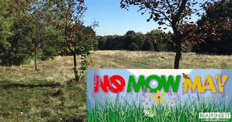 Barnet Council Takes Part In No Mow May To Create Wildlife Friendly