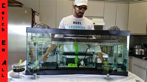 Browse large and small tanks, fresh and saltwater, starter kits & more! 4 TANKS IN ONE! Modern Aquarium DIY Tankception! - YouTube