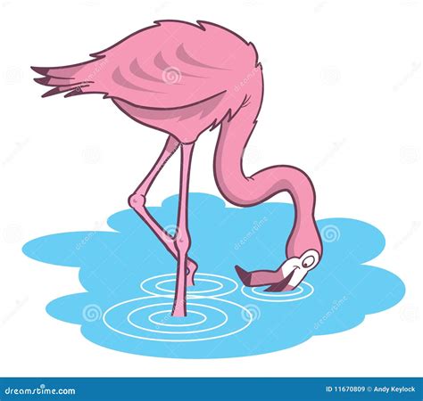 Pink Flamingo Cartoon Illustration 11670809