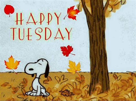 Fall Tuesday Happy Tuesday Images Tuesday Quotes Tuesday Greetings