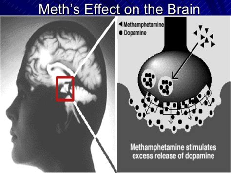 Methamphetamine Abuse And Clandestine Laboratories