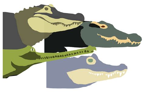 Crocodile Habitat Map