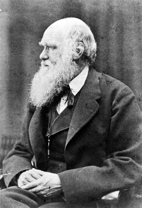 Charles Robert Darwinn1809 1882 English Naturalist Poster Print By
