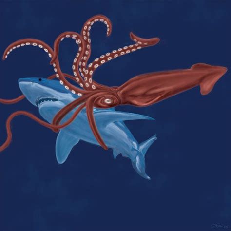 ➤ please consider to subscribe Shark Vs Squid by https://www.deviantart.com/gothfox on @DeviantArt | Shark, Squid, Animal art