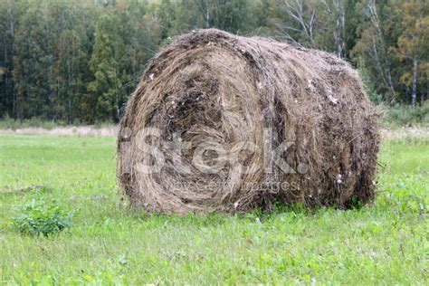 Haystack Stock Photo Royalty Free Freeimages