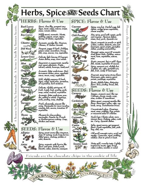 Digital Download Herbs Spice And Seeds Chart For Kitchen Etsy