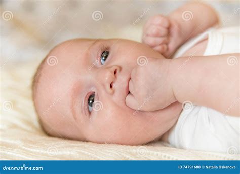 Newborn Baby Puts Hand Into Mouth Stock Photo Image Of Infant Life